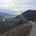 painting plein air in Wine country