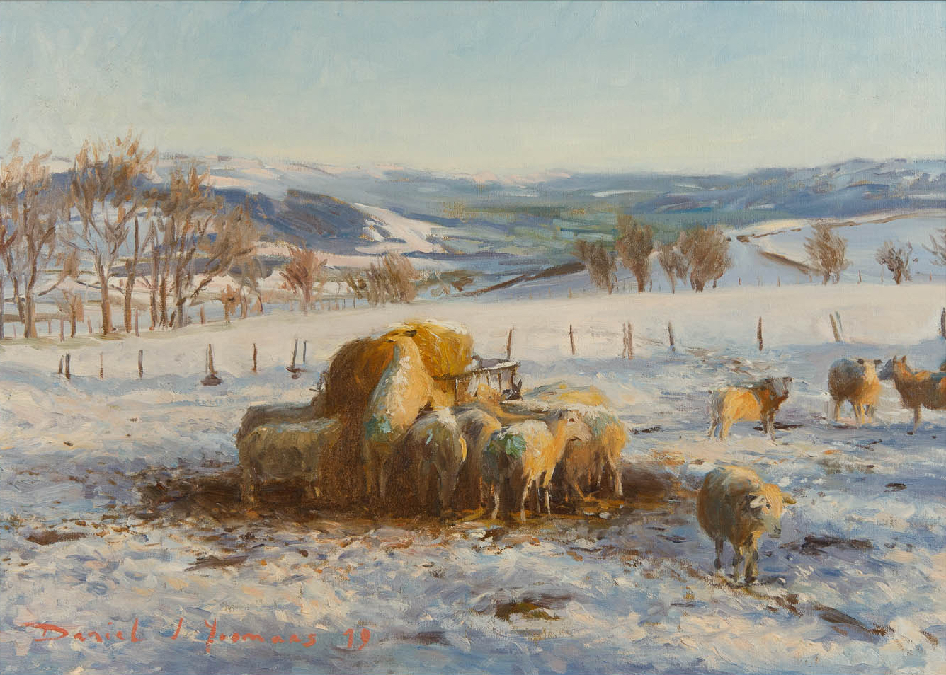 Une peinture de moutons dans la neige sur le Kerry Ridgeway
