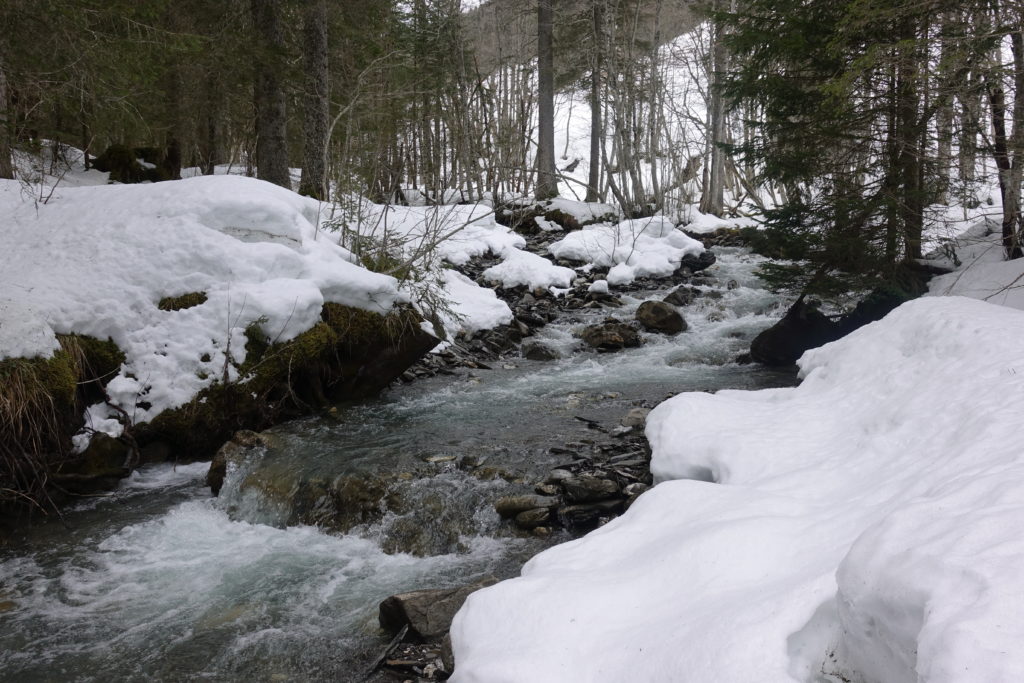 River running through the snow covered woods. Champery