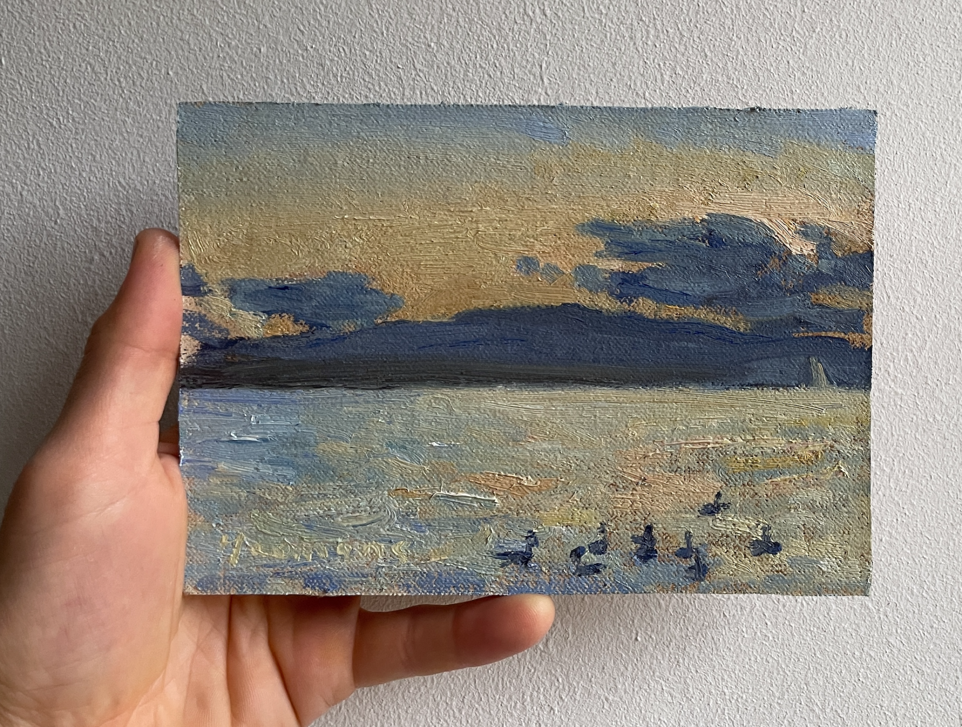 Le Saleve and ducks